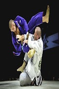 پوستر Jiu Jitsu Guide