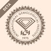 Verify Report (AI) biểu tượng