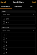 Locaudit Pro 截图 3