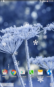 Winter Wallpaper screenshot 7