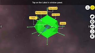 Learn Viruses スクリーンショット 3