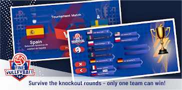 Fine Volleyball screenshot 5
