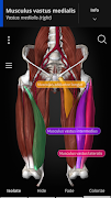 Anatomyka - 3D Anatomy Atlas ภาพหน้าจอ 1