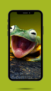 Frog Ringtone Sound স্ক্রিনশট 2