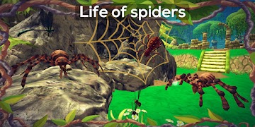 Spider Insect Game - insect an screenshot 7