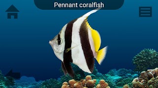 برنامه‌نما Marine Life عکس از صفحه