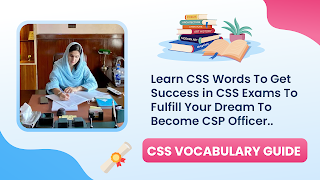 CSS Vocabulary Pro: CSS Guide تصوير الشاشة 3