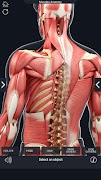 برنامه‌نما Muscle Anatomy Pro. عکس از صفحه
