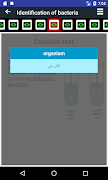 Microbiology EduCards スクリーンショット 4