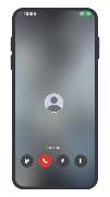 IMS Interpreter Access 截图 3