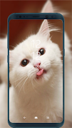Cute pet wallpaper Ekran Görüntüsü 5