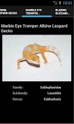 Leopard Geckos 截圖 3