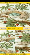 ttpuzzle27 截圖 3