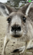 Kangaroo Lock Screen screenshot 5