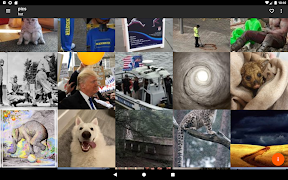 Gallery for reddit imagem de tela 5