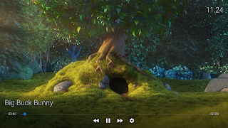 X3M Player স্ক্রিনশট 6