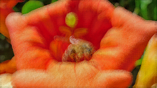 CirCam اسکرین شاٹ 3