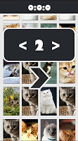 Cat Picture Matching screenshot 1