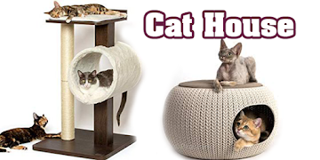 Cat Condo Ideas 海报