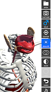 Anatomy View screenshot 2