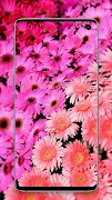 papel de parede rosa imagem de tela 3