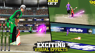 Big Bash Cricket 截图 3