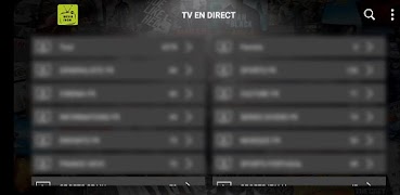 MEDIA SHOW PRO 截图 1