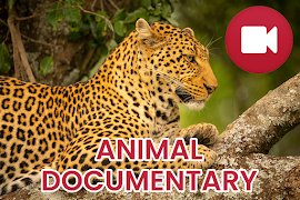 Wild Animals Documentary poster