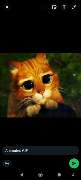 Gif Maker स्क्रीनशॉट 4