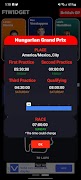 F1 Widget screenshot 6