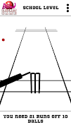 Blind Cricket screenshot 5