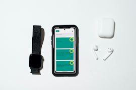 Constitution Gabonaise 스크린샷 2