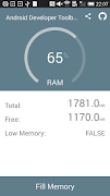Developer Toolbelt - Fill RAM 海报