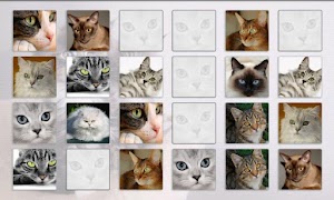 برنامه‌نما Cats Memory Game Free عکس از صفحه