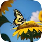 Butterfly wallpaper 图标
