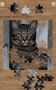 Cat Jigsaw Puzzles screenshot 3