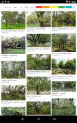Search By Image screenshot 3
