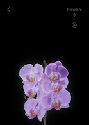 Enliven - Interactive Breathin capture d'écran 5