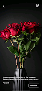 برنامه‌نما Daily Wallpaper عکس از صفحه