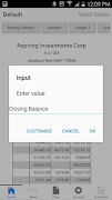 Debtor Ledger screenshot 4