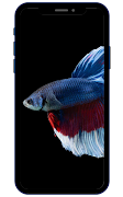 Betta Fish Wallpaper screenshot 1