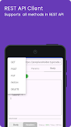 API Scout: API Testing Client poster