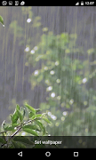 Rain Live Wallpapers Cartaz