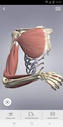 3D Spasticity poster