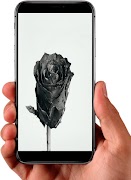 gray background captura de pantalla 1