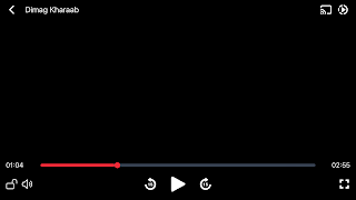 MSM Video スクリーンショット 5