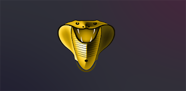 2 Schermata Cobra Gold Player