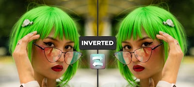 Inverted Filter (Trending Inverted Effect) Ekran Görüntüsü 3