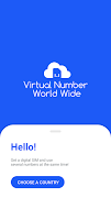 Virtual Number ポスター