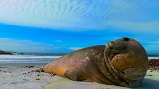 Virtual Reality OCEANS! screenshot 2